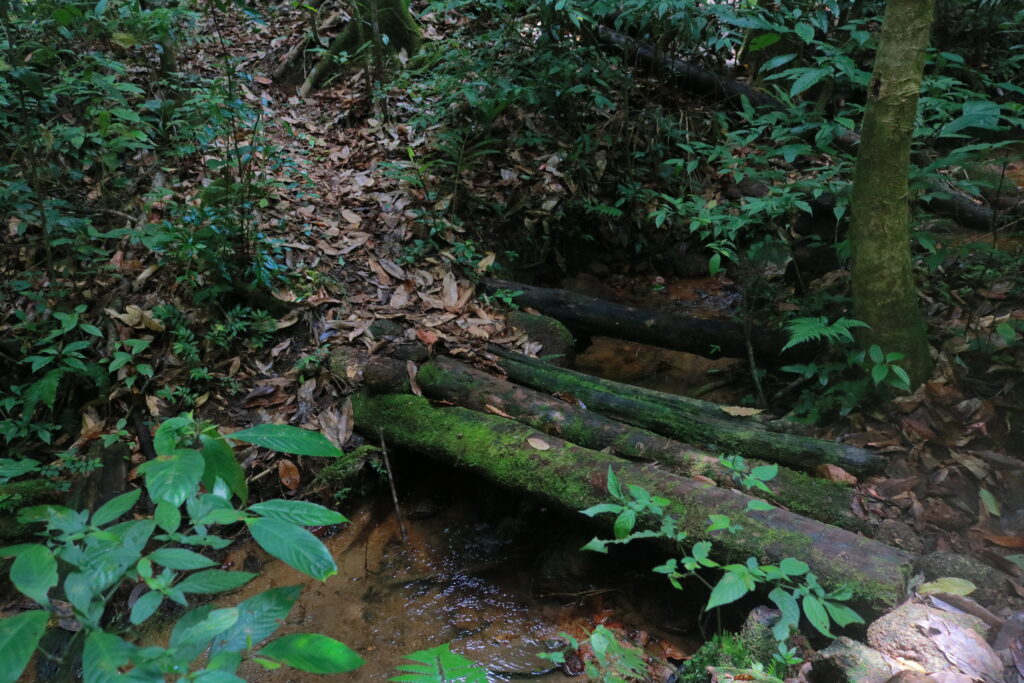 trải nghiệm